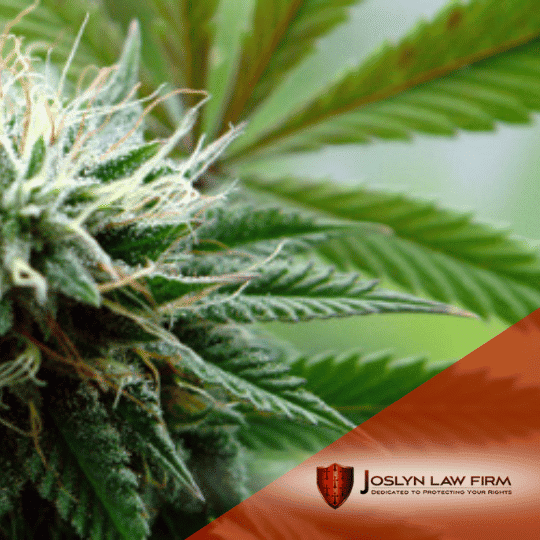 Minor Misdemeanor Marijuana Possession Lawyer in Ohio Marijuana Defense Attorney in Columbus